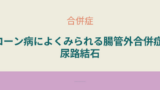 クローン病に合併しやすい腎結石・尿路結石。原因や予防法を説明