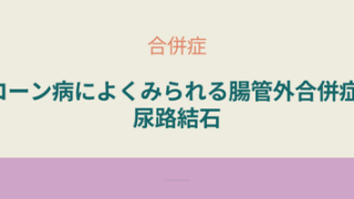 クローン病に合併しやすい腎結石・尿路結石。原因や予防法を説明