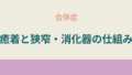 クローン病による癒着や狭窄と消化管の仕組みを説明