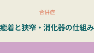 クローン病による癒着や狭窄と消化管の仕組みを説明