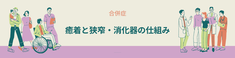 クローン病による癒着や狭窄と消化管の仕組みを説明