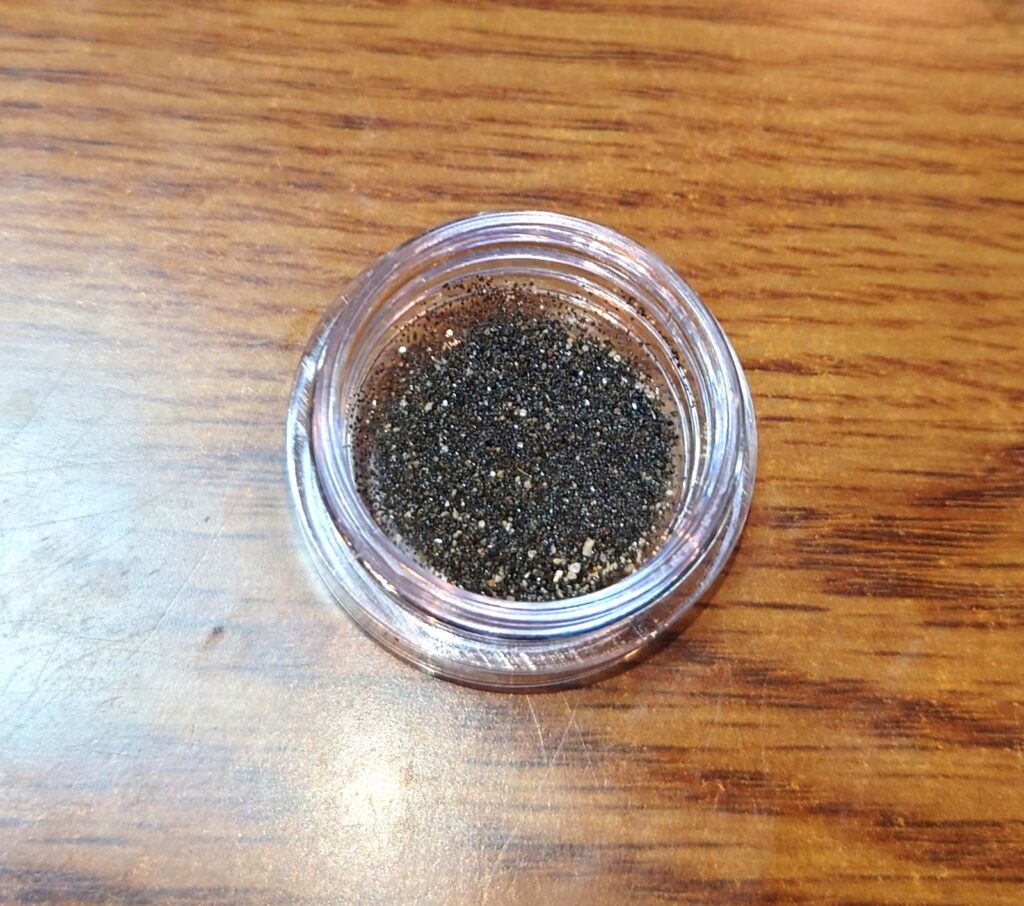 ニチドウ『ホウネンエビ飼育観察キット』の卵の写真