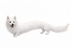 うちの犬を、“果てしなく続くあの名作映画”を連想させるファンタジー系ドラゴン風にする挑戦④